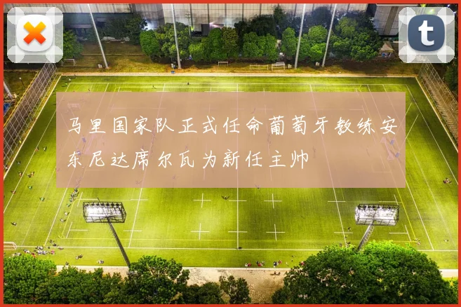 马里国家队正式任命葡萄牙教练安东尼达席尔瓦为新任主帅