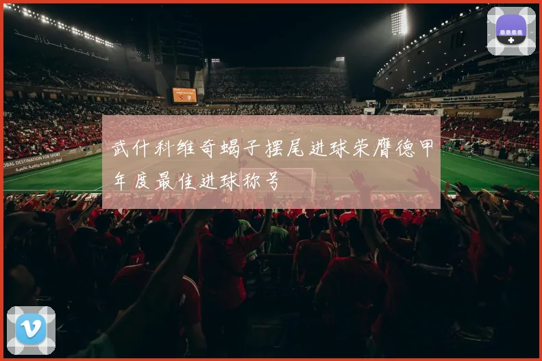 武什科维奇蝎子摆尾进球荣膺德甲年度最佳进球称号